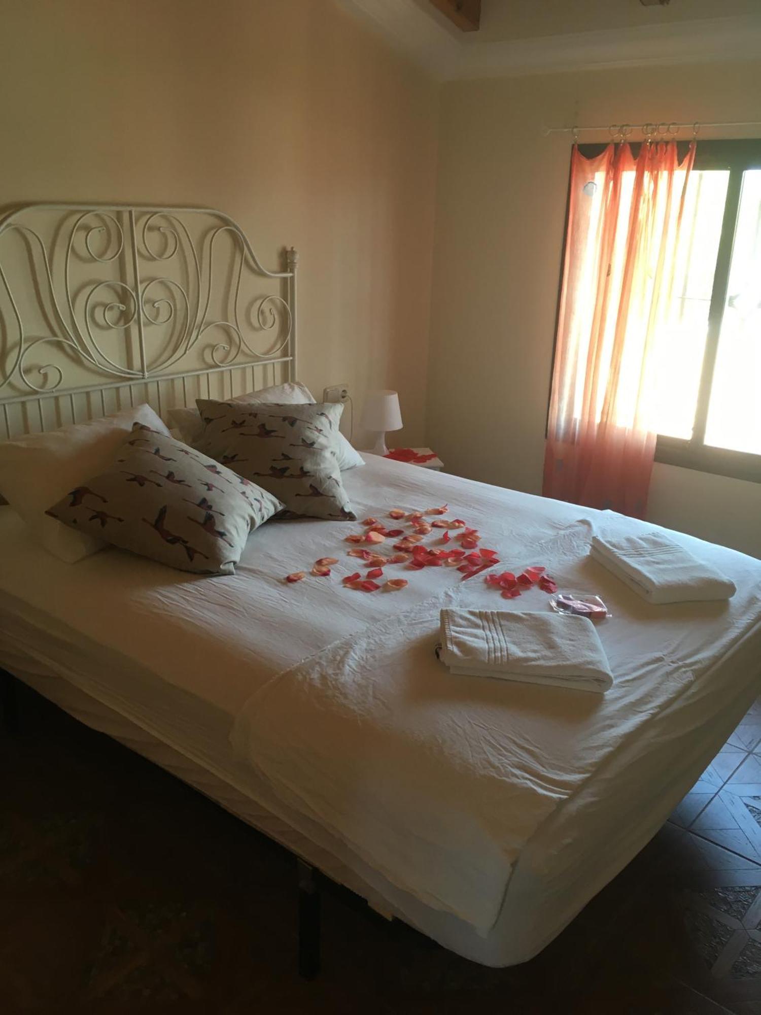Double Room,1593758733:JPEG