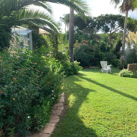 Finca Filpi-3