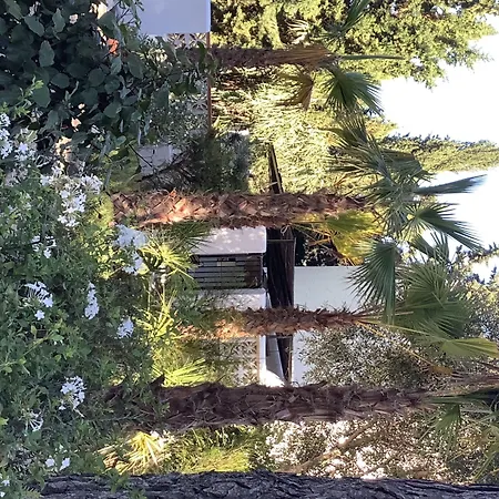 Kasbah Andaluz Guest House-2
